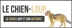 LE CHIEN-LOUP ET SON HISTOIRE