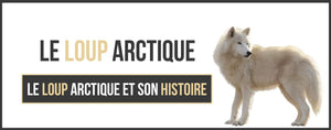 loup arctique