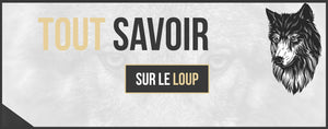 Quelle est la Vie d'un Loup ?
