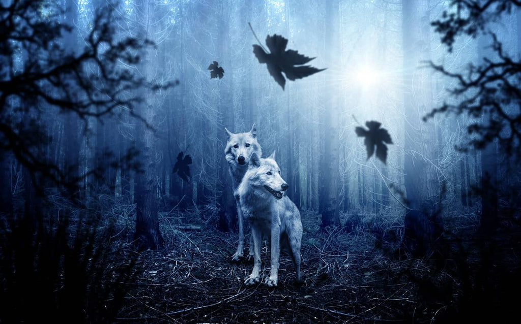 Rêver d’un loup
