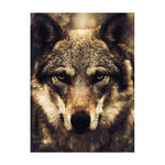 Tableau photo loup