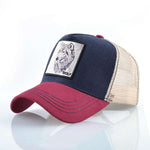 casquette-loup-bleue-et-rouge