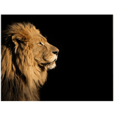 tableau-lion-eclaire-majestueux