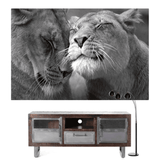 tableau-lion-lionne-noir-et-blanc