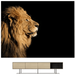 tableau-lion-eclaire