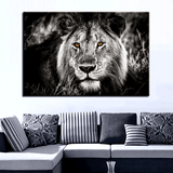 tableau-lion-yeux-percants-salon